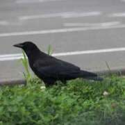 ヒメ日記 2025/09/02 23:12 投稿 あさひ SOAPLAND LOVE FACTORY