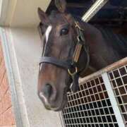 ヒメ日記 2025/09/04 07:24 投稿 あさひ SOAPLAND LOVE FACTORY