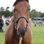 ヒメ日記 2025/09/04 08:19 投稿 あさひ SOAPLAND LOVE FACTORY