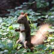 ヒメ日記 2025/09/05 15:02 投稿 あさひ SOAPLAND LOVE FACTORY