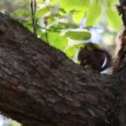 ヒメ日記 2025/09/05 16:03 投稿 あさひ SOAPLAND LOVE FACTORY