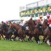 ヒメ日記 2025/09/05 16:45 投稿 あさひ SOAPLAND LOVE FACTORY