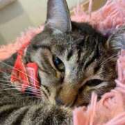 ヒメ日記 2025/09/05 17:22 投稿 あさひ SOAPLAND LOVE FACTORY