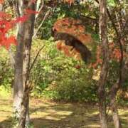 ヒメ日記 2025/09/06 02:22 投稿 あさひ SOAPLAND LOVE FACTORY