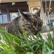 ヒメ日記 2025/09/07 01:08 投稿 あさひ SOAPLAND LOVE FACTORY