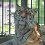 ヒメ日記 2025/09/10 08:06 投稿 あさひ SOAPLAND LOVE FACTORY