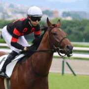 ヒメ日記 2025/09/13 01:42 投稿 あさひ SOAPLAND LOVE FACTORY