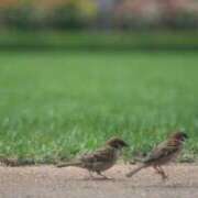 ヒメ日記 2025/09/13 02:12 投稿 あさひ SOAPLAND LOVE FACTORY