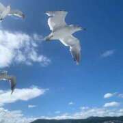 ヒメ日記 2025/09/14 20:48 投稿 あさひ SOAPLAND LOVE FACTORY