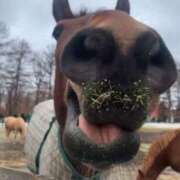 ヒメ日記 2025/09/17 05:12 投稿 あさひ SOAPLAND LOVE FACTORY