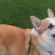 ヒメ日記 2025/09/18 01:22 投稿 あさひ SOAPLAND LOVE FACTORY