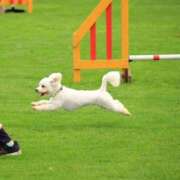 ヒメ日記 2025/09/18 23:12 投稿 あさひ SOAPLAND LOVE FACTORY