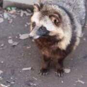 ヒメ日記 2025/09/19 00:30 投稿 あさひ SOAPLAND LOVE FACTORY