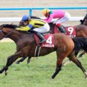 ヒメ日記 2025/09/20 19:42 投稿 あさひ SOAPLAND LOVE FACTORY