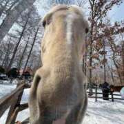 ヒメ日記 2025/09/21 00:57 投稿 あさひ SOAPLAND LOVE FACTORY