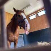 ヒメ日記 2025/09/22 15:52 投稿 あさひ SOAPLAND LOVE FACTORY