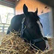 ヒメ日記 2025/09/23 00:02 投稿 あさひ SOAPLAND LOVE FACTORY