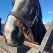 ヒメ日記 2025/09/23 04:02 投稿 あさひ SOAPLAND LOVE FACTORY