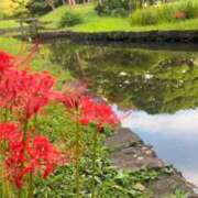 ヒメ日記 2025/09/25 17:44 投稿 あさひ SOAPLAND LOVE FACTORY