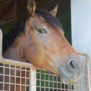 ヒメ日記 2025/09/26 01:52 投稿 あさひ SOAPLAND LOVE FACTORY