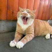 ヒメ日記 2025/09/26 08:12 投稿 あさひ SOAPLAND LOVE FACTORY