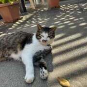 ヒメ日記 2025/09/26 15:04 投稿 あさひ SOAPLAND LOVE FACTORY