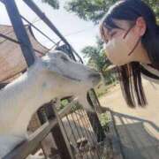 ヒメ日記 2025/09/26 15:22 投稿 あさひ SOAPLAND LOVE FACTORY