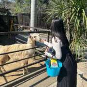 ヒメ日記 2025/09/27 12:26 投稿 あさひ SOAPLAND LOVE FACTORY