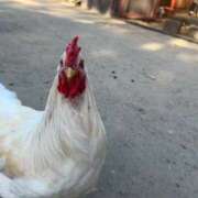 ヒメ日記 2025/09/29 00:42 投稿 あさひ SOAPLAND LOVE FACTORY