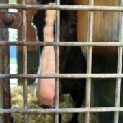 ヒメ日記 2025/09/30 09:09 投稿 あさひ SOAPLAND LOVE FACTORY