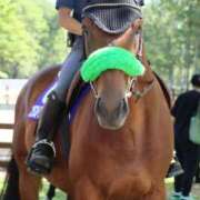 ヒメ日記 2025/10/06 00:26 投稿 あさひ SOAPLAND LOVE FACTORY