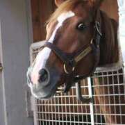 ヒメ日記 2025/10/06 00:32 投稿 あさひ SOAPLAND LOVE FACTORY