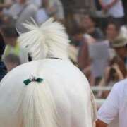 ヒメ日記 2025/10/06 08:52 投稿 あさひ SOAPLAND LOVE FACTORY