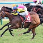 ヒメ日記 2025/10/13 09:22 投稿 あさひ SOAPLAND LOVE FACTORY