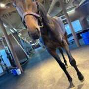 ヒメ日記 2025/10/16 01:56 投稿 あさひ SOAPLAND LOVE FACTORY