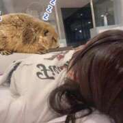 ヒメ日記 2025/10/16 13:36 投稿 あさひ SOAPLAND LOVE FACTORY