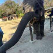 ヒメ日記 2025/10/18 01:52 投稿 あさひ SOAPLAND LOVE FACTORY