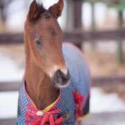 ヒメ日記 2025/10/18 11:22 投稿 あさひ SOAPLAND LOVE FACTORY