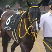 ヒメ日記 2025/10/18 12:56 投稿 あさひ SOAPLAND LOVE FACTORY