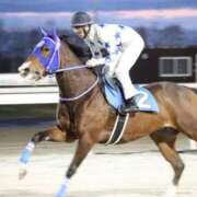 ヒメ日記 2025/10/19 00:24 投稿 あさひ SOAPLAND LOVE FACTORY