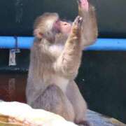 ヒメ日記 2025/10/19 01:02 投稿 あさひ SOAPLAND LOVE FACTORY