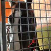 ヒメ日記 2025/10/19 01:42 投稿 あさひ SOAPLAND LOVE FACTORY