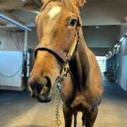 ヒメ日記 2025/10/22 01:05 投稿 あさひ SOAPLAND LOVE FACTORY