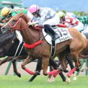 ヒメ日記 2025/10/23 04:42 投稿 あさひ SOAPLAND LOVE FACTORY