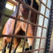 ヒメ日記 2025/10/23 07:52 投稿 あさひ SOAPLAND LOVE FACTORY