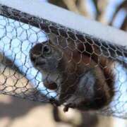 ヒメ日記 2025/10/24 07:52 投稿 あさひ SOAPLAND LOVE FACTORY