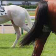 ヒメ日記 2025/10/25 11:22 投稿 あさひ SOAPLAND LOVE FACTORY