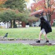 ヒメ日記 2025/10/26 14:02 投稿 あさひ SOAPLAND LOVE FACTORY