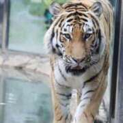 ヒメ日記 2025/10/26 21:03 投稿 あさひ SOAPLAND LOVE FACTORY