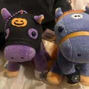 ヒメ日記 2025/10/26 21:52 投稿 あさひ SOAPLAND LOVE FACTORY